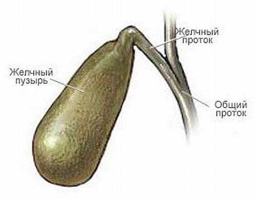 Стол при болезни желчного пузыря